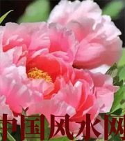 上饶预示你财运上升，姻缘可成的梦境，快来看看吧！