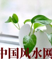 上饶家中摆放六种吉祥物，会打开您的财运大门！