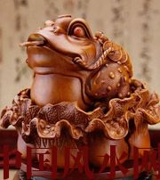上饶解读金蟾最合适的位置，这样摆放更招财！