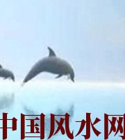 上饶做梦梦到这些，是要富裕的征兆！